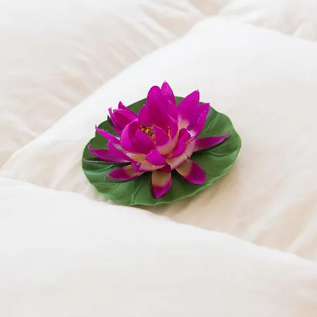 Fontanavecchia Pensjonat 3*