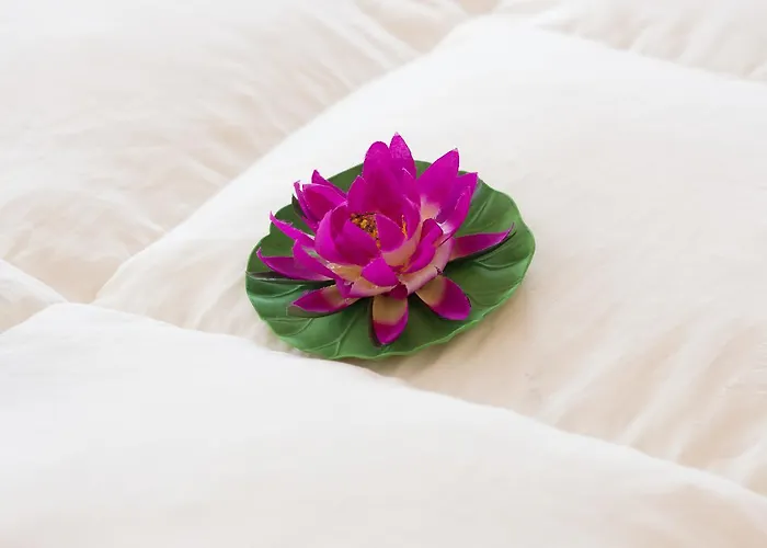 Fontanavecchia Konukevi 3*