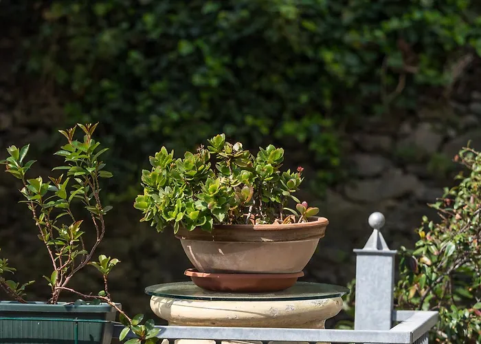 Fontanavecchia Konukevi Vernazza